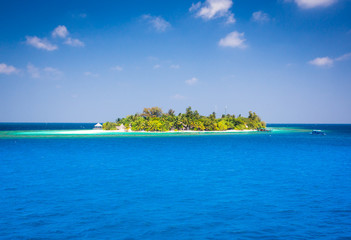view on a lonely island with palm trees in the Indian Ocean , Maldives