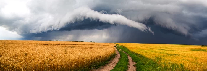  Country road, storm © Ruslan Mitin
