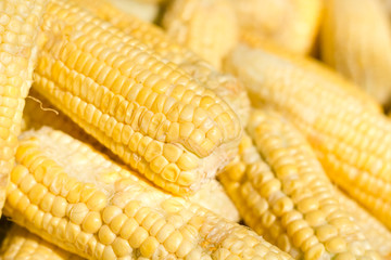 Grains of ripe corn