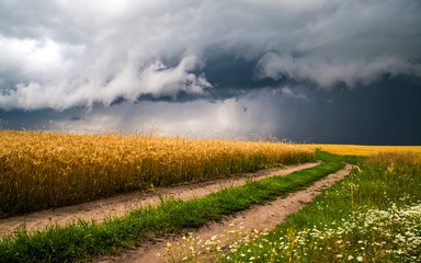 Country road, storm