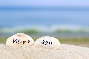 seashells and sea vitamin