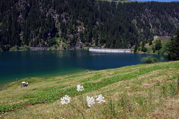Fototapeta premium barrage de saint guérin-savoie