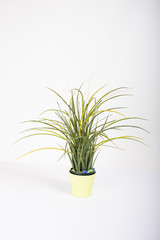 small interior decor tree 