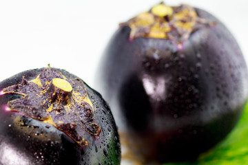 large round eggplant of a vegetable indigenous to Kyoto. Japan / Kamonasu, large round eggplant of Kyo-yasai (vegetable indigenous to Kyoto)