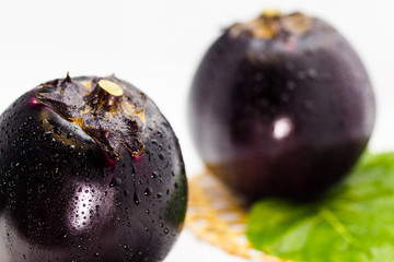 large round eggplant of a vegetable indigenous to Kyoto. Japan / Kamonasu, large round eggplant of Kyo-yasai (vegetable indigenous to Kyoto)