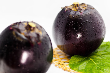 large round eggplant of a vegetable indigenous to Kyoto. Japan / Kamonasu, large round eggplant of Kyo-yasai (vegetable indigenous to Kyoto)