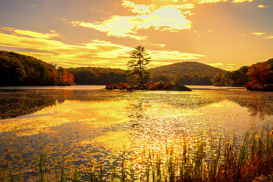 Fall landscape at sunset.