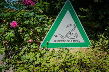 Ungiftige Schlangen