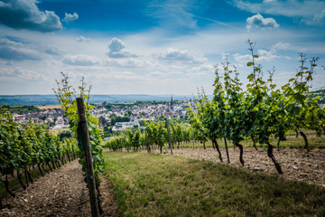 Obraz premium Kiedrich Rheingau Hessen