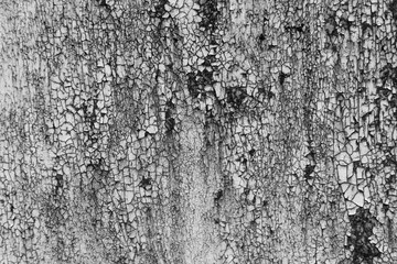 Fototapeta premium rusty metal wall texture