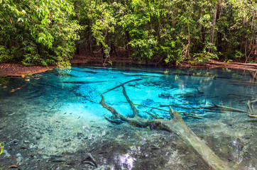 Emerald Blue Pool