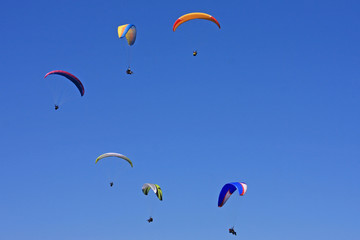 Paragliders - obrazy, fototapety, plakaty