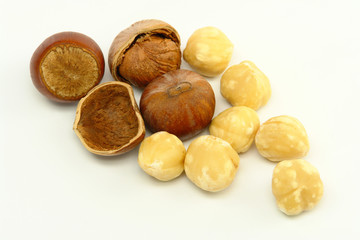Hazelnuts on White Background