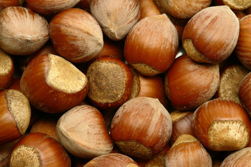 Hazelnut Background