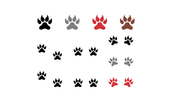 Variation of Paw Claw Vector Illustration