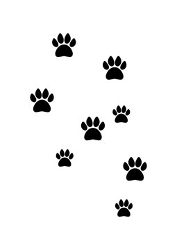 Animal Footprint Silhouette Vector