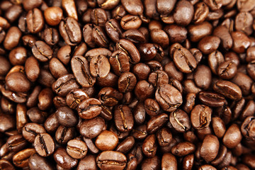 Coffee beans