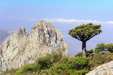 Yemen. Socotra island. Higghe mountains