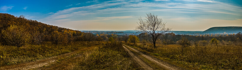 Panorama with road and tree
