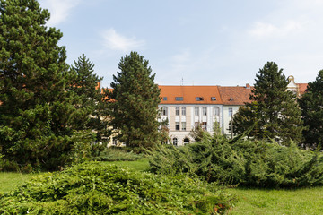 Fototapeta na wymiar Halberstadt Harz