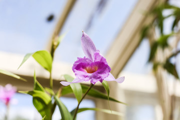 calle © paolagio_photo