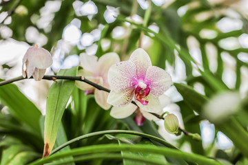 calle © paolagio_photo