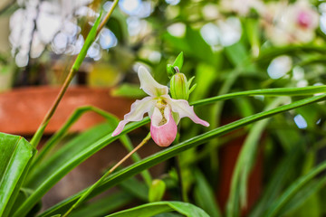 calle © paolagio_photo