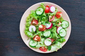 Tomato and cucumber salad with lettuce leafes
