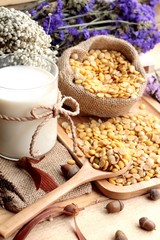 Soy milk with soya beans