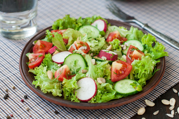 Tomato and cucumber salad with lettuce leafes