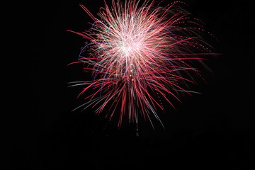 Fireworks in black night sky