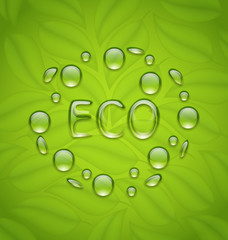 Eco friendly background with water drops on fresh green leaves t