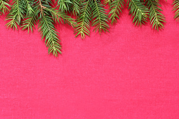 New Christmas background with real pine tree branches