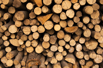 Wood background