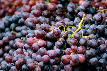 Red grapes in market