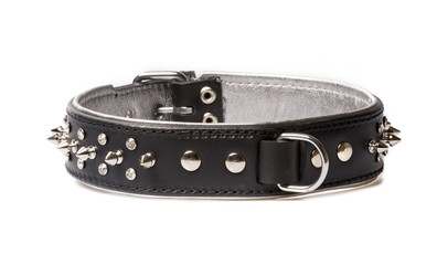 black leather collar for dog