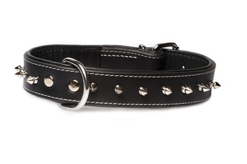 black leather collar for dog