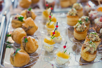 Beautifully decorated catering banquet table with different food snacks and appetizers with sandwich, caviar, fresh fruits on corporate party event or wedding celebration