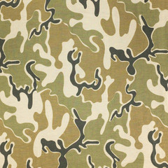 Fototapeta na wymiar Camouflage pattern and background.