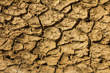 Cracked, dry ground