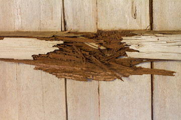 Decaying wood beams