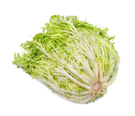 baby endive