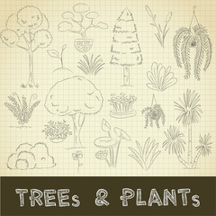 trees and plants set