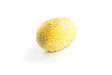 cantaloupe melon