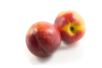Nectarine fruit 