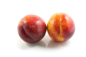 Nectarine fruit 