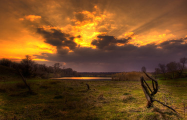 last ray of sun on the bog