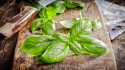 fresh basil leaves