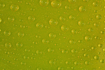 Fototapeta na wymiar Water drops on the green surface