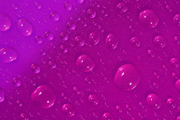 Water drops on the pink surface